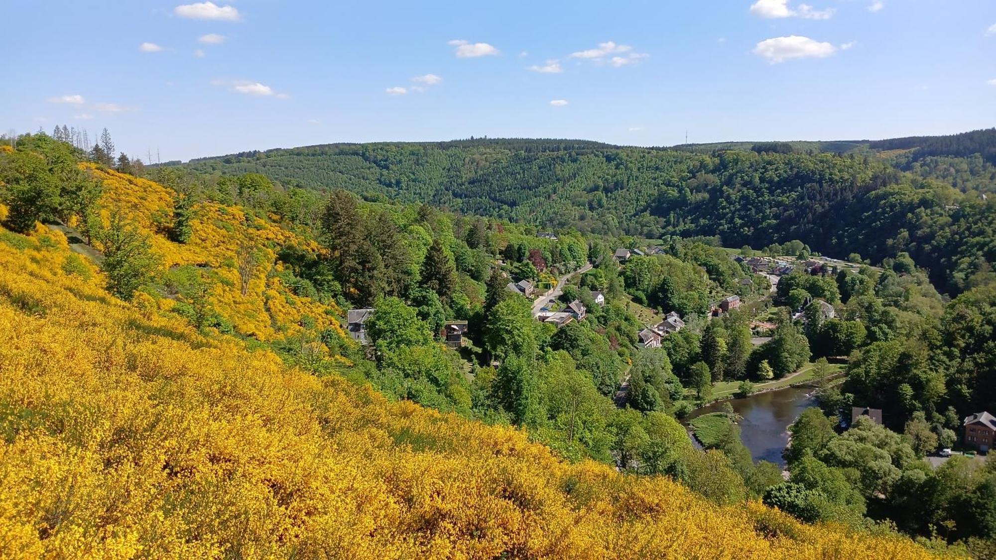 Appartement L’Abri à La-Roche-en-Ardenne Extérieur photo